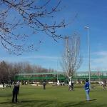 Escuela De Golf De La Federación De Madrid