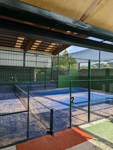 Negocio Padel Meruelo