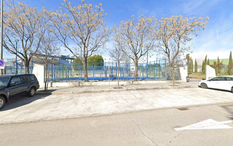 Negocio Pista De Padel 01