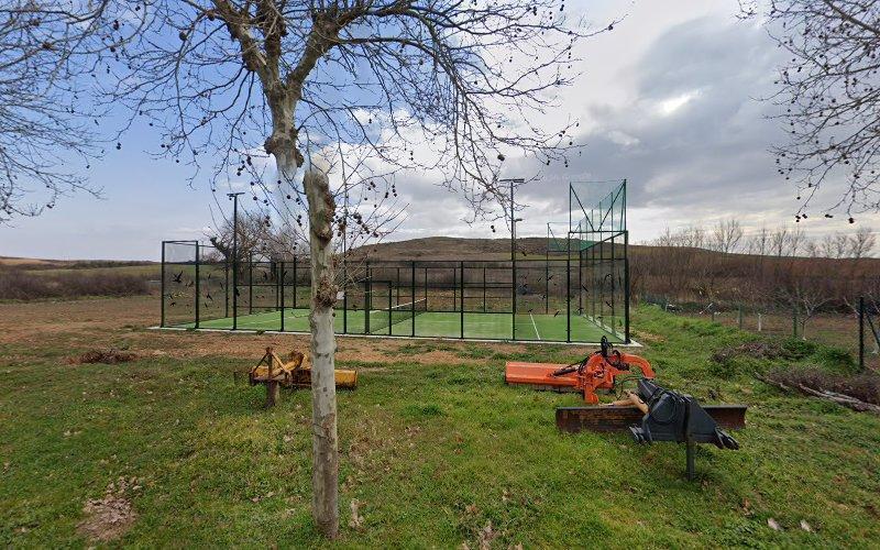 Negocio Pista De Padel