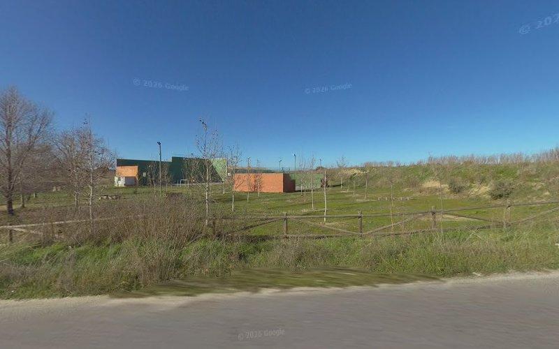Negocio Pista De Pádel