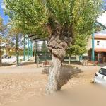Pista De Pádel Municipal