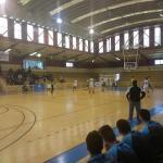 Polideportivo Municipal Las Palmeras