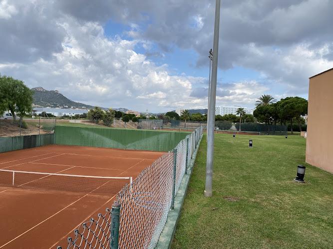 Sunball Tennis