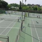 Tenis Estudio Couder
